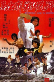 Incredible Kung Fu Mission