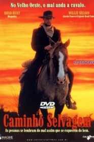The Journeyman