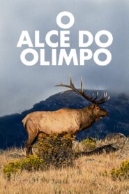 The Olympic Elk