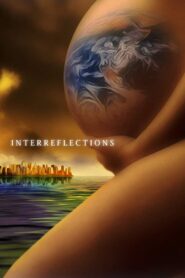 InterReflexões