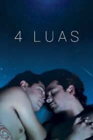 4 Luas