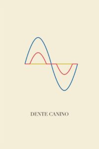 Dente Canino