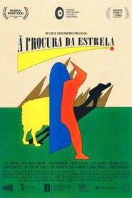À procura da estrela